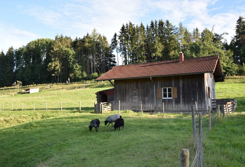 bachtel 05 17 8 20 jpg